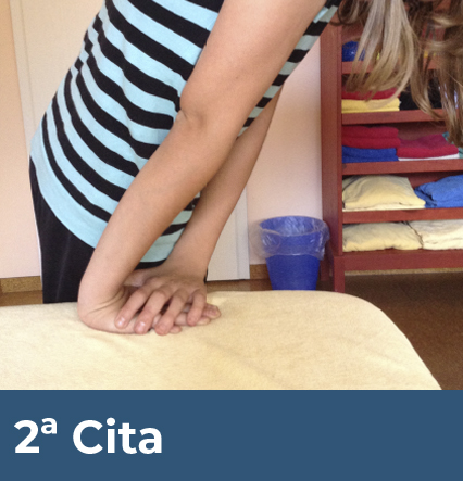 Dagmar Fisioterapia. Segunda cita