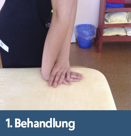 Dagmar Fisioterapia. 1. Behandlung