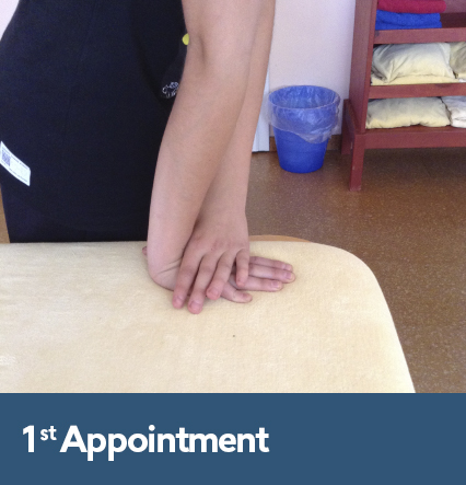 dagmar-fisioterapia- 1st appointment hand